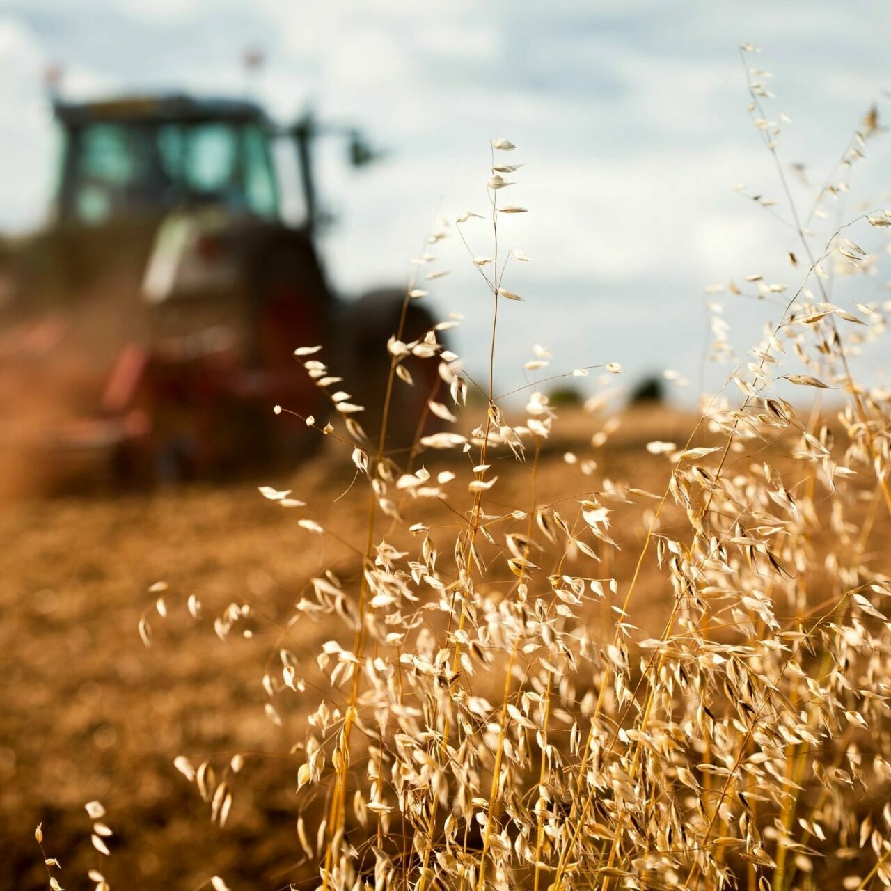 a farm tractor on field